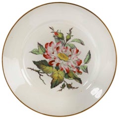 Early 19th Century Derby Botanical Dish Signed Mundi Rose