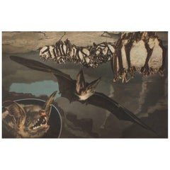 Antique Original School Wall Chart with Bats