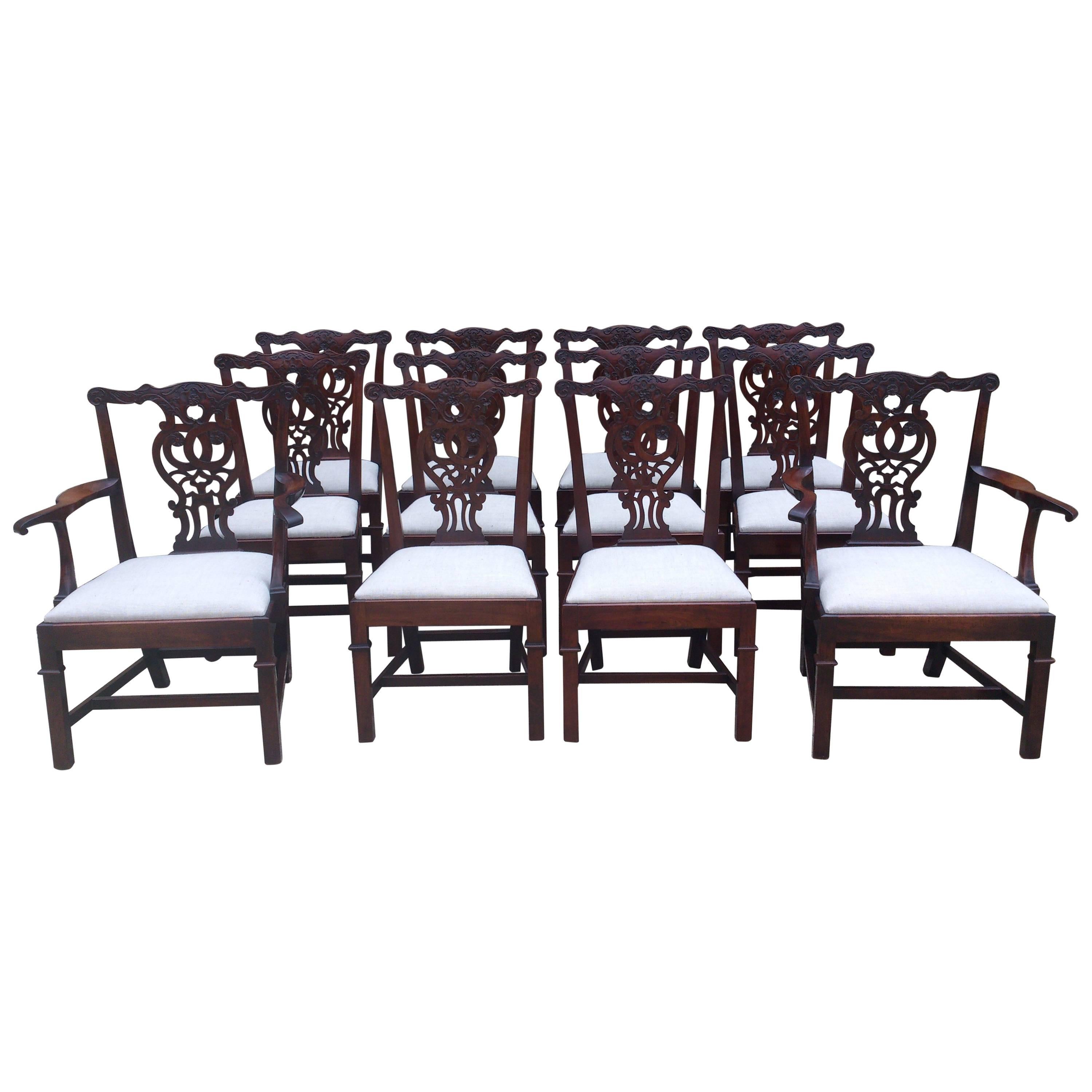 Large and Strong Set of 12 19th Century Chippendale Mahogany Dining Chairs For Sale