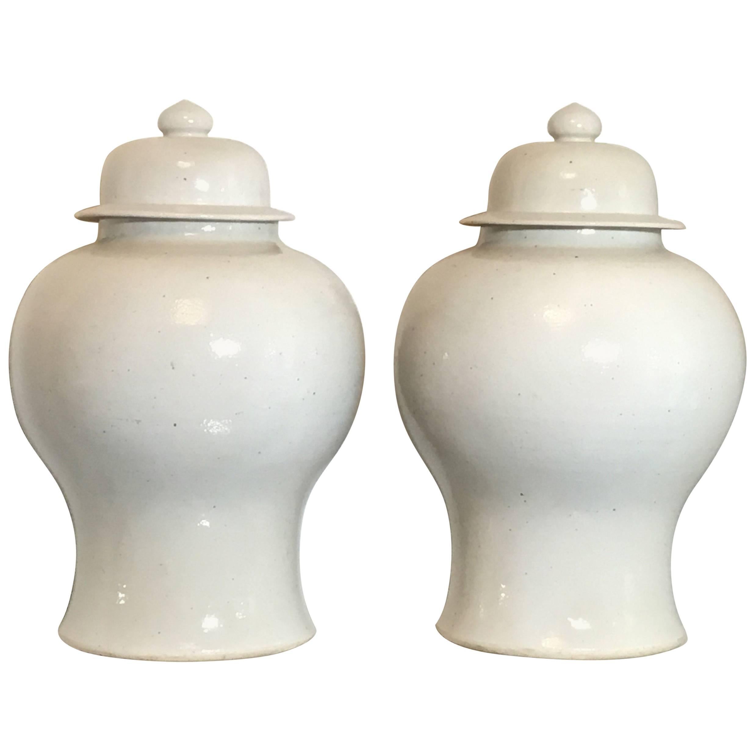 Pair of Chinese Ceramic Vases