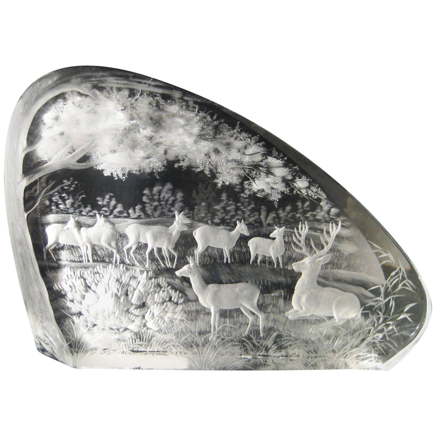 "Grazing Deer" by Ivan Chalupka For Sale
