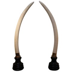 Outstanding and Very Large Pair of Faux Elephant Tusks