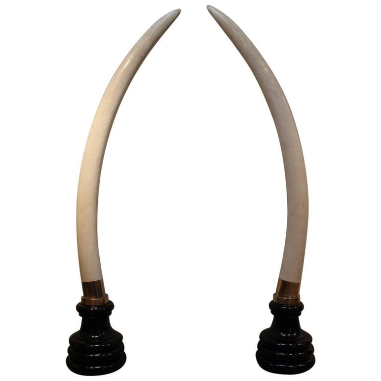 Outstanding and Very Large Pair of Faux Elephant Tusks For Sale at 1stDibs