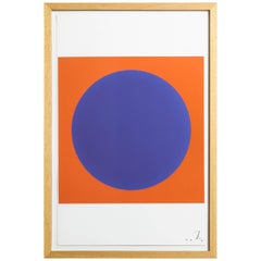 Julio Espada, Digital Drawing, 2017 Framed Print 5