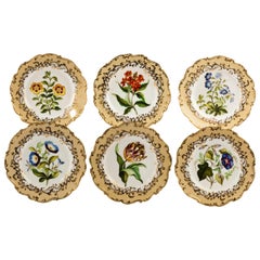 Set of Six Coalport Café-au-lait Ground Botanical Dessert Plates