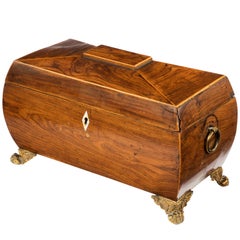 Regency Period Sarcophagus Shaped Tea Caddy