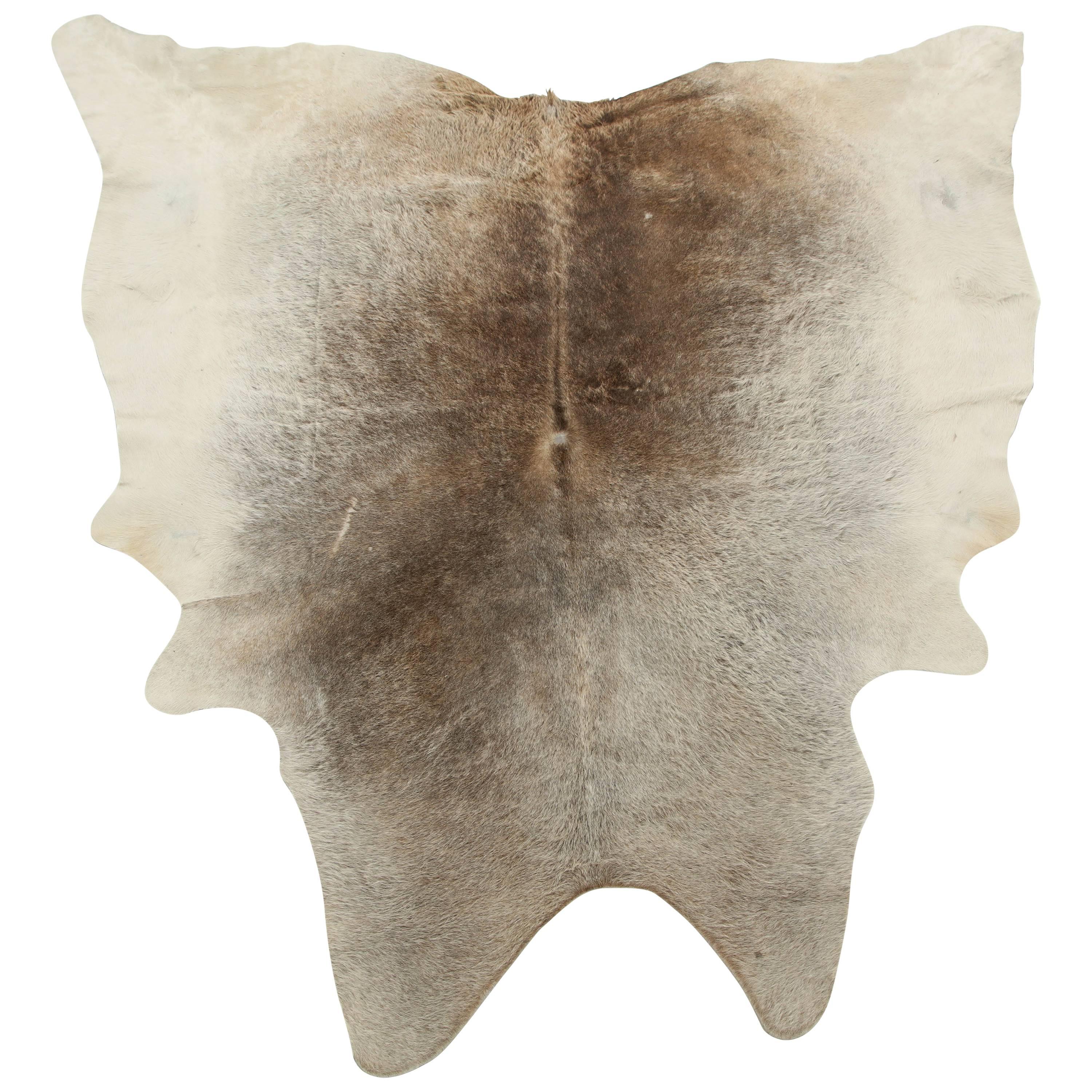 Cow Hide Rug, Offered by Area ID
