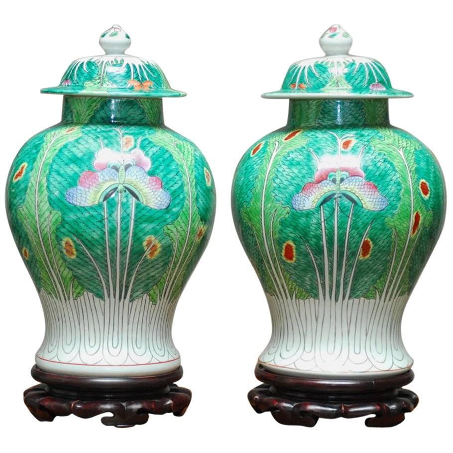 Pair of Chinese Qing Cabbage Leaf and Butterfly Ginger Jars