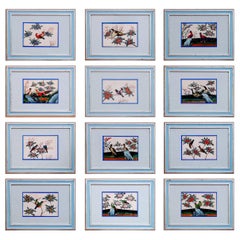 Antique China Trade Set of 12 Pith Paper Paintings of Birds, circa 1840-1860