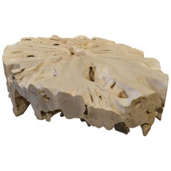 Andrianna Shamaris St. Barts Table basse ovale en bois de teck