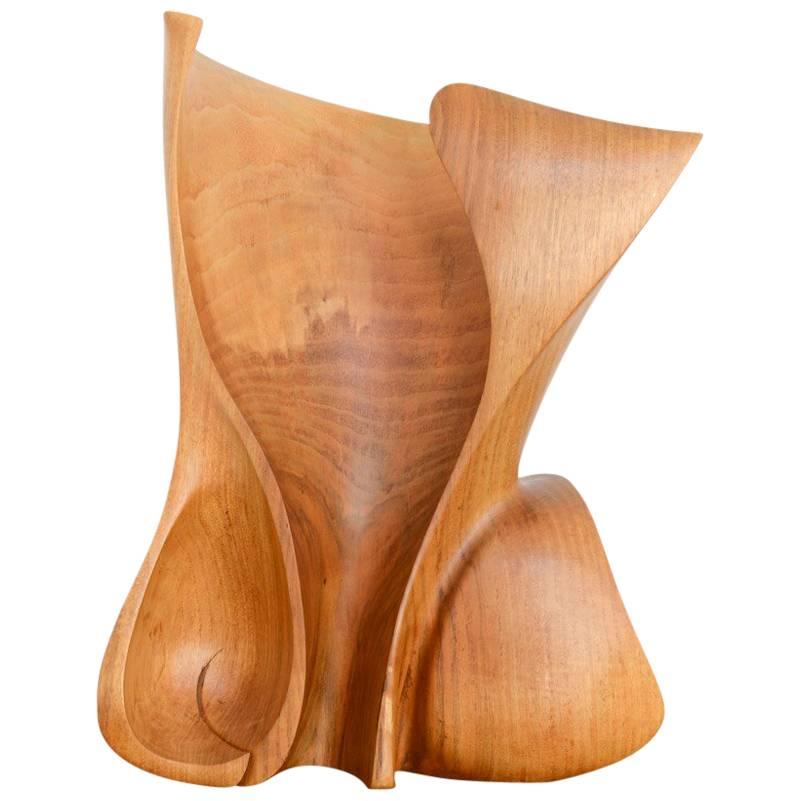 Amazing Organic Abstract Wooden Sculpture
