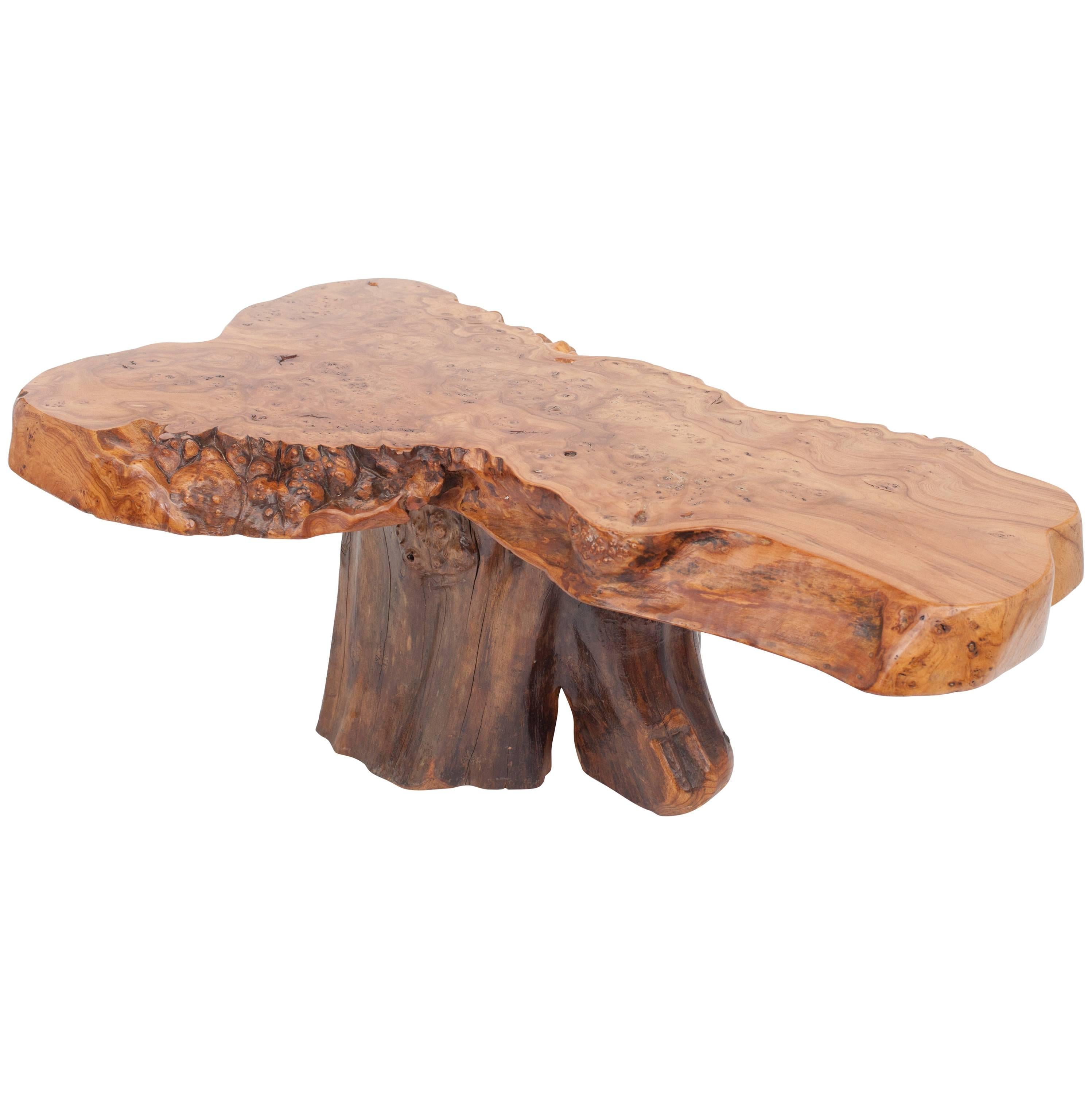 Mid-century modern Natural Burl Wood High Gloss Coffee Table