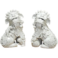 Pair of Chinese Dehua Blanc de Chine Porcelain Foo Dogs