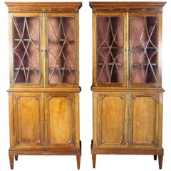 Pair of 19th Century Rosewood Bookcase Cabinets