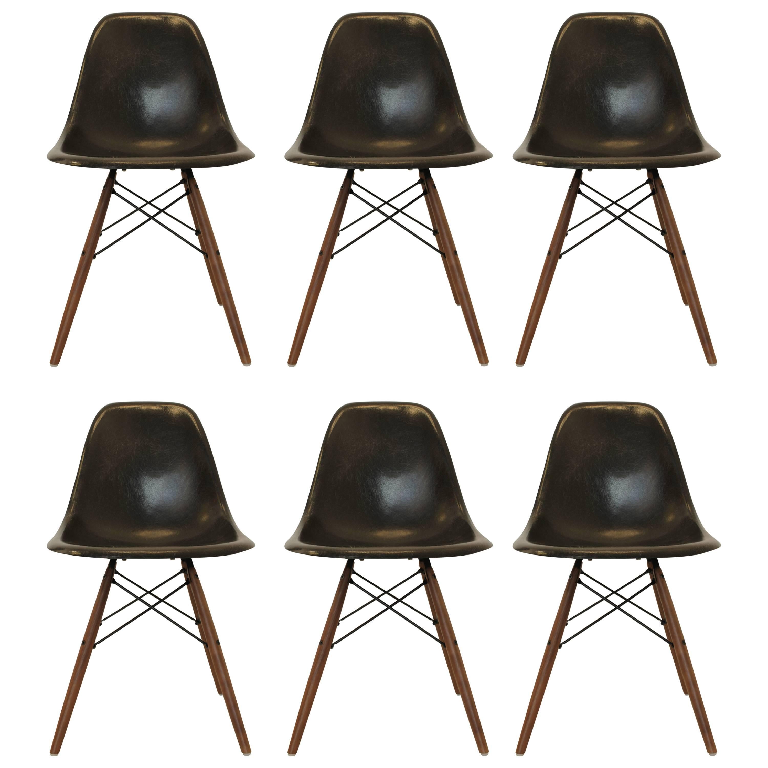 Black Fiberglass Eames Chairs by Herman Miller