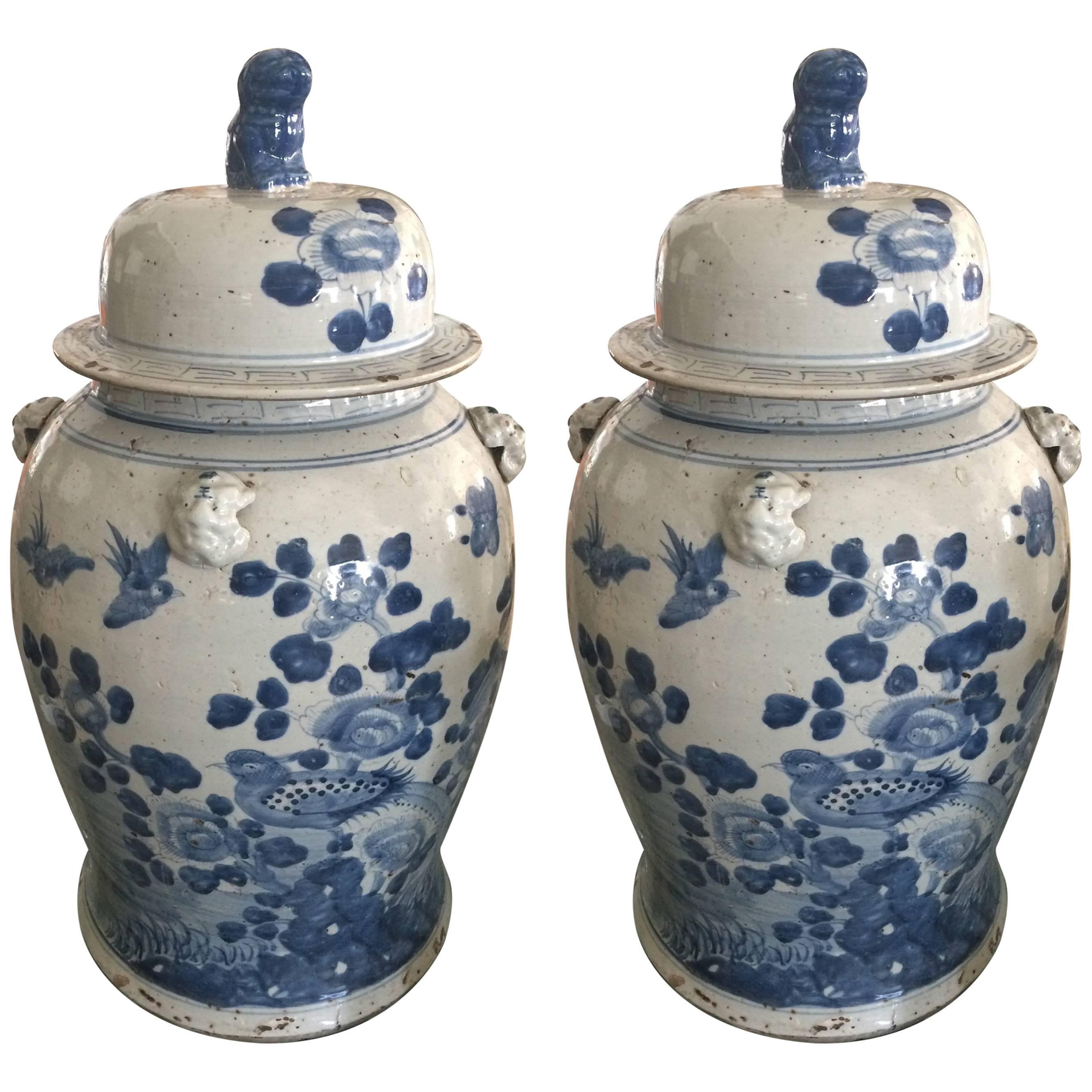 Pair of Large Chinese Blue and White Lidded Urns