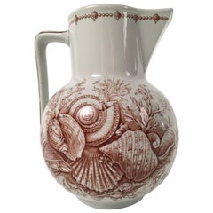 19th Century Staffordshire Pottery Sea Shell Decorated Pitcher