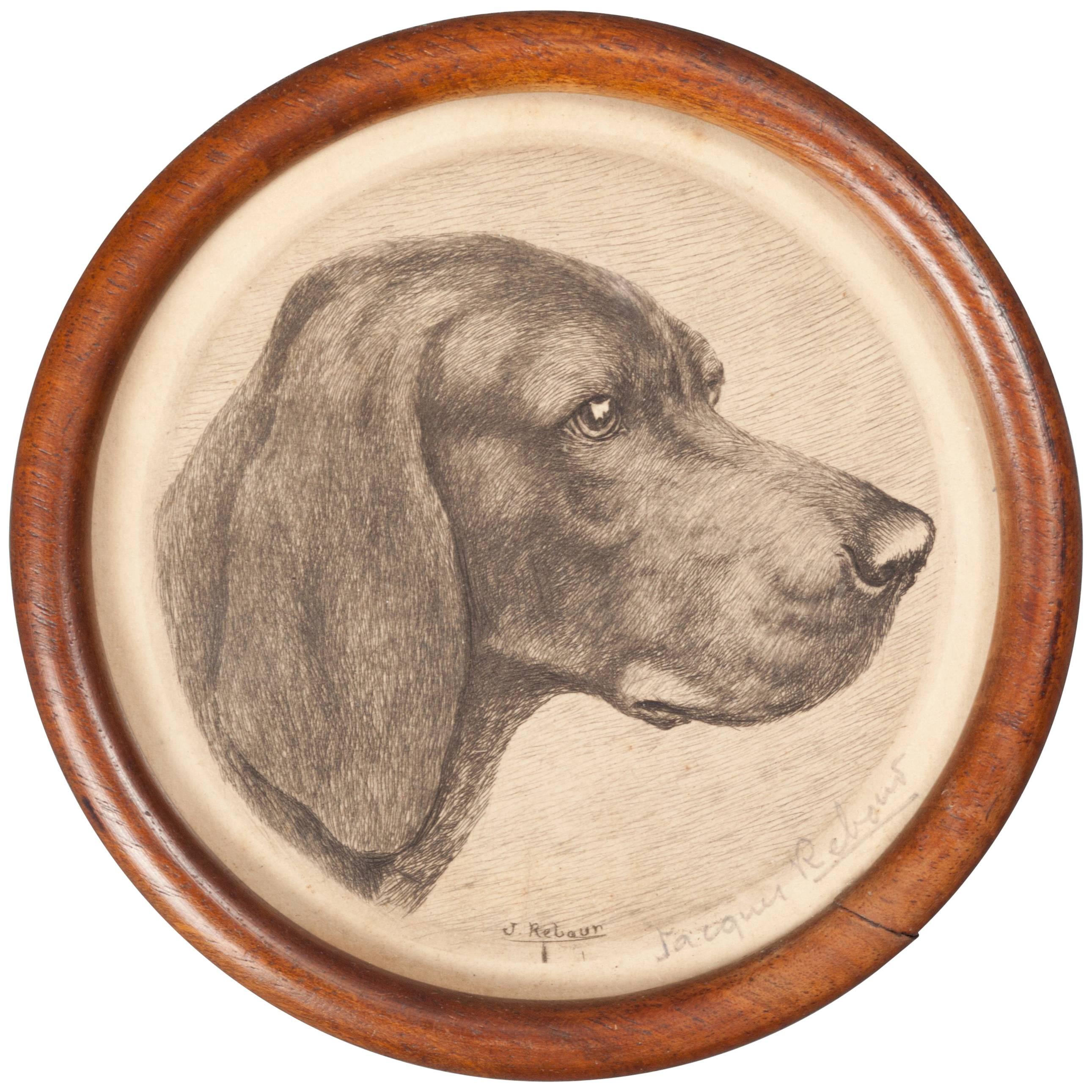 Early 20th Century Framed Etching, Portrait of a Weimaraner by Jacques Rebaut For Sale