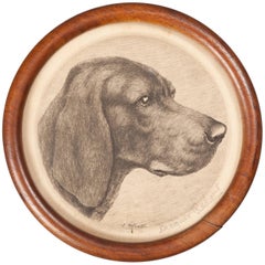 Early 20th Century Framed Etching, Portrait of a Weimaraner by Jacques Rebaut