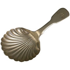 William IV Antique Provincial Silver Caddy Spoon, John Walton, 1832