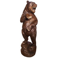 Beautiful Big Black Forest Bear