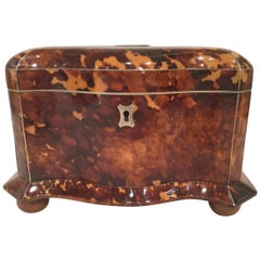 Antique 19th Century Tortoiseshell Tea Caddy