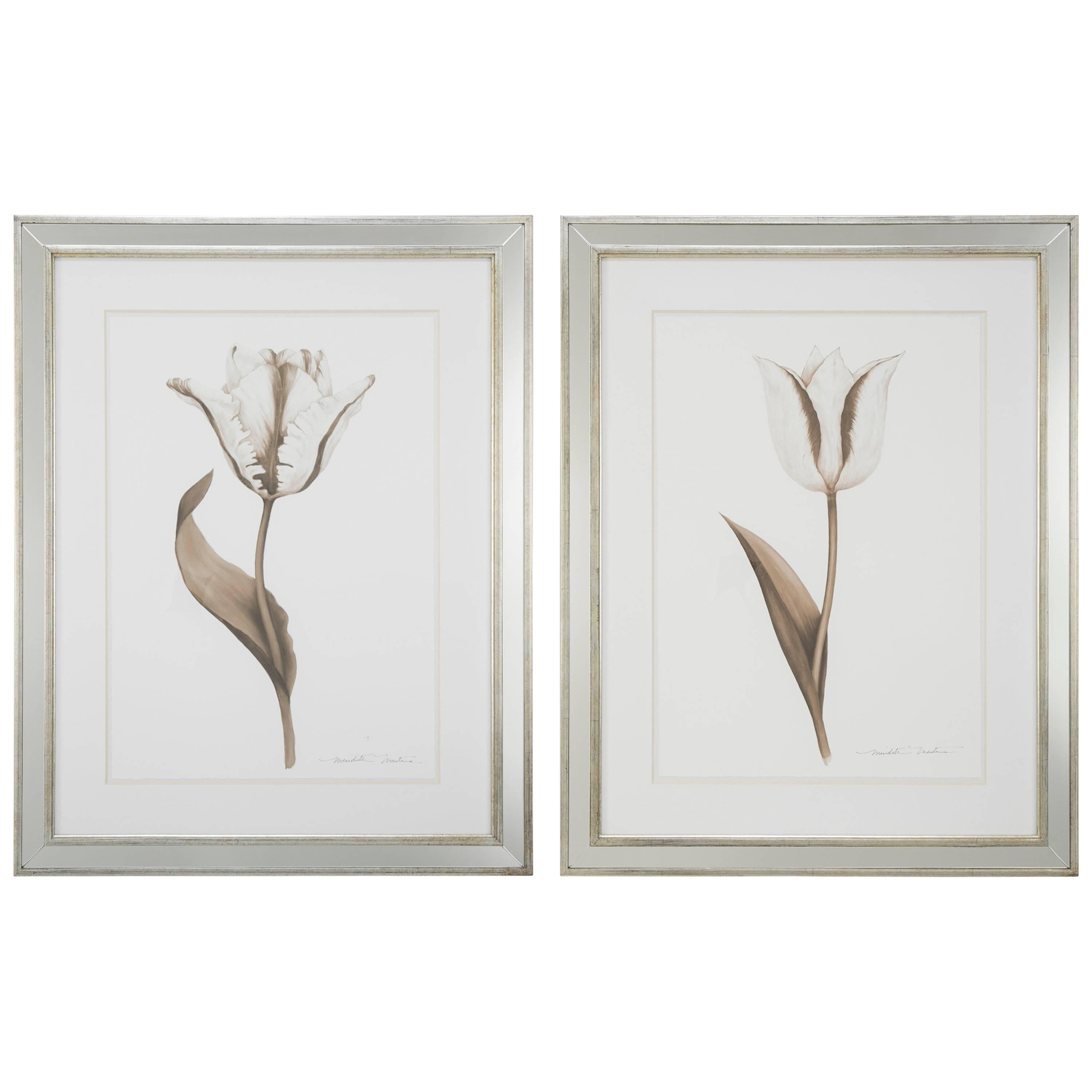 Pair of Ink Wash Drawings Depicting Tulips by Meredith Masters