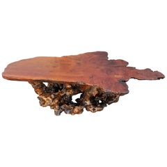 Redwood Burl Coffee Table