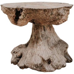19th Century Treetrunk Table