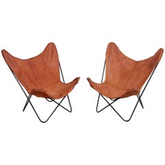 Rare Matched Pair of Ferrari Hardoy Butterfly Chairs for Knoll 