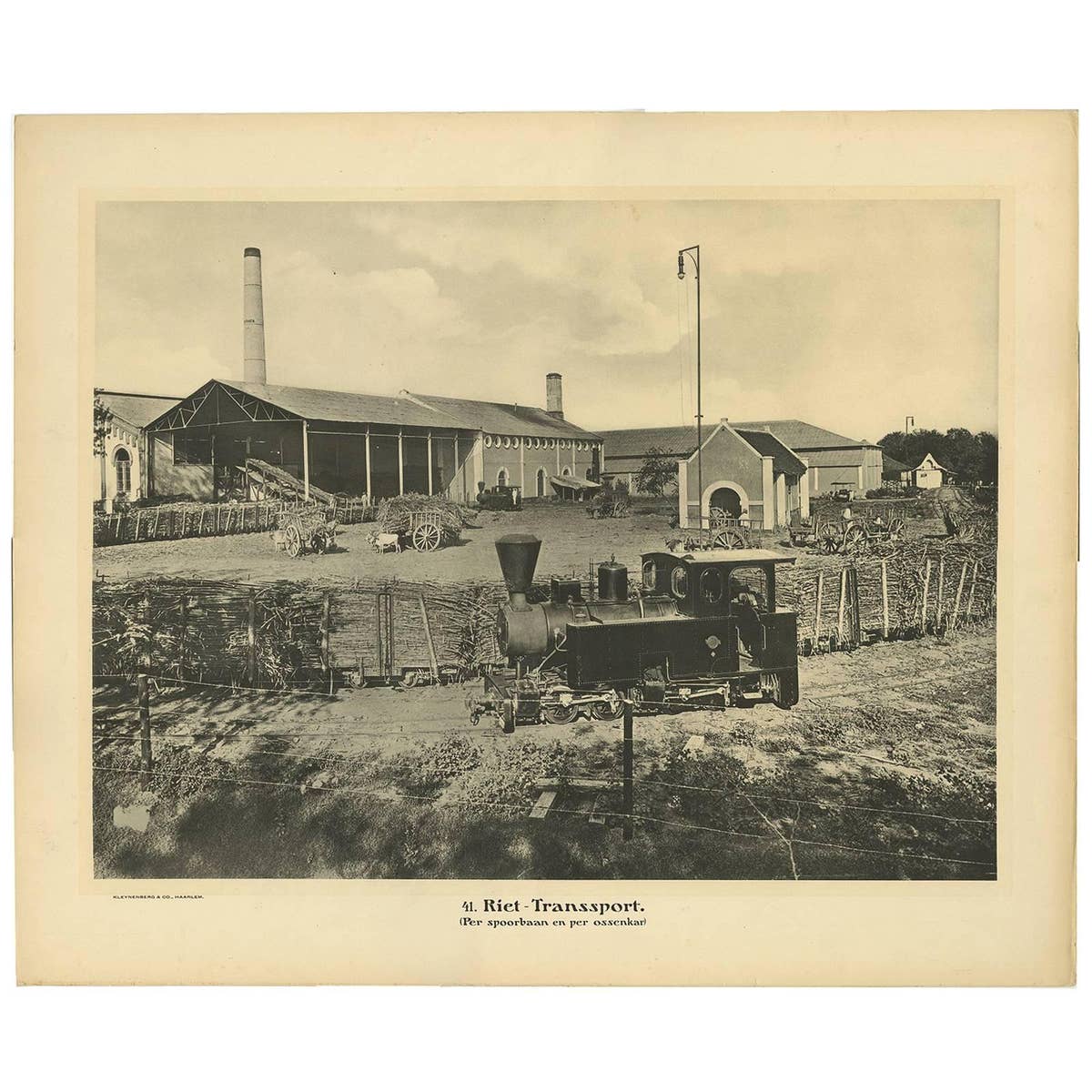 Photographic Plate Illustrating the Transportation of Cane by Kleynenberg, 1910