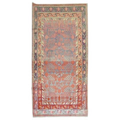 Early 20th Century Khotan Wool Gray Field Antique Pomegranate Rug
