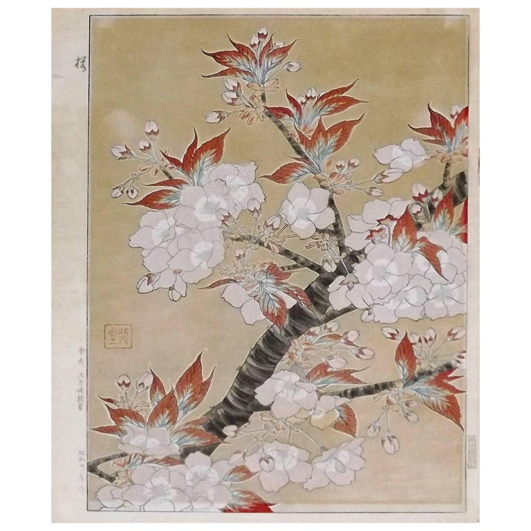 Japanese Woodblock Print of Cherry Blossoms by Kawarazaki Shodo For