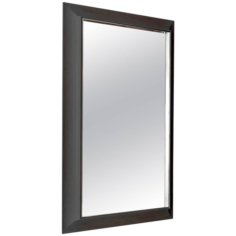 Zamora Mirror With Polished Stainless Steel And Ebonized Mahogany Frame