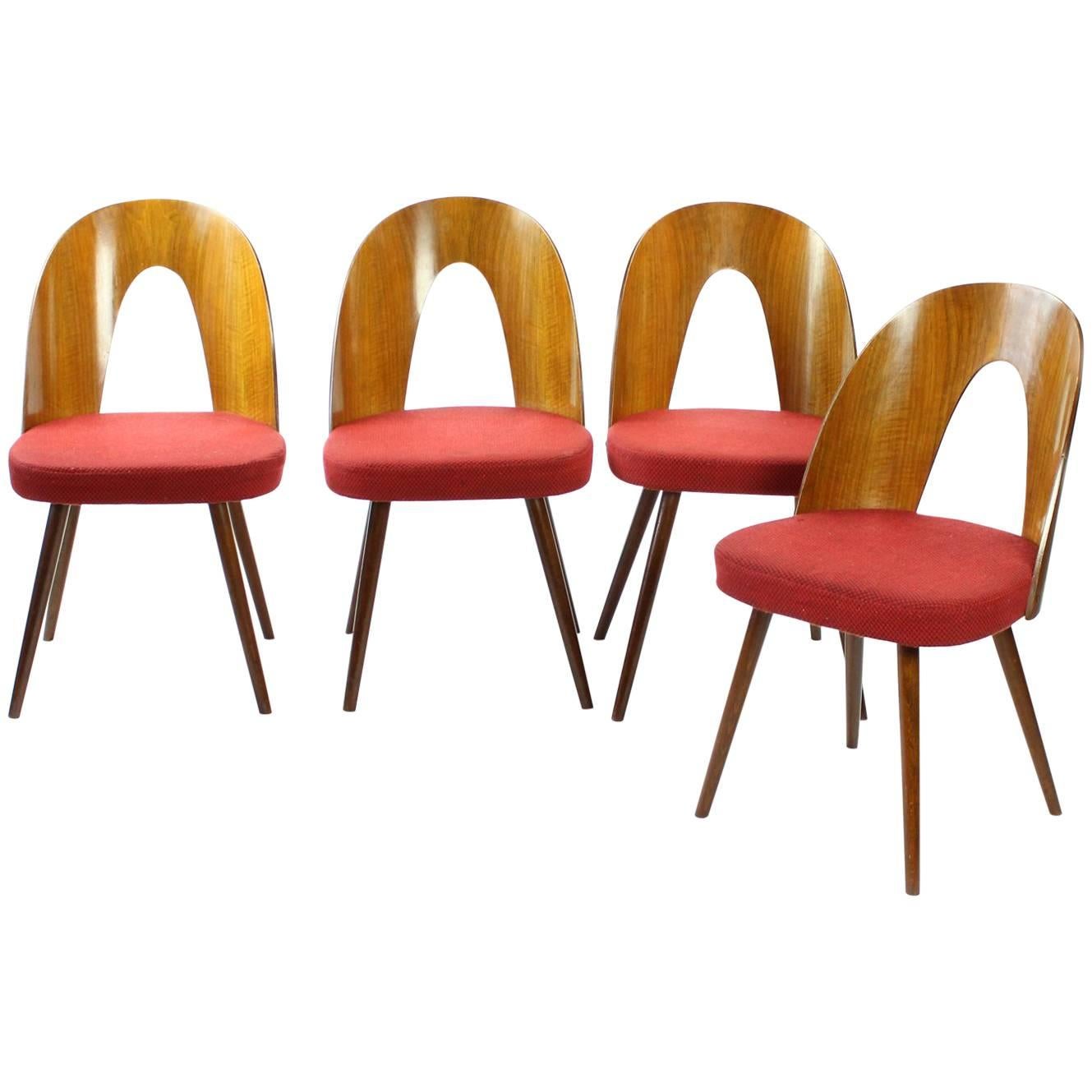 1960s Four Tatra Chairs by Antonin Suman in Original Upholstery, Czechoslovakia