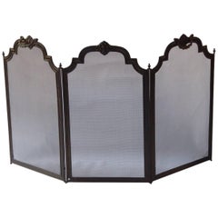 19th Century French Fireplace Screen