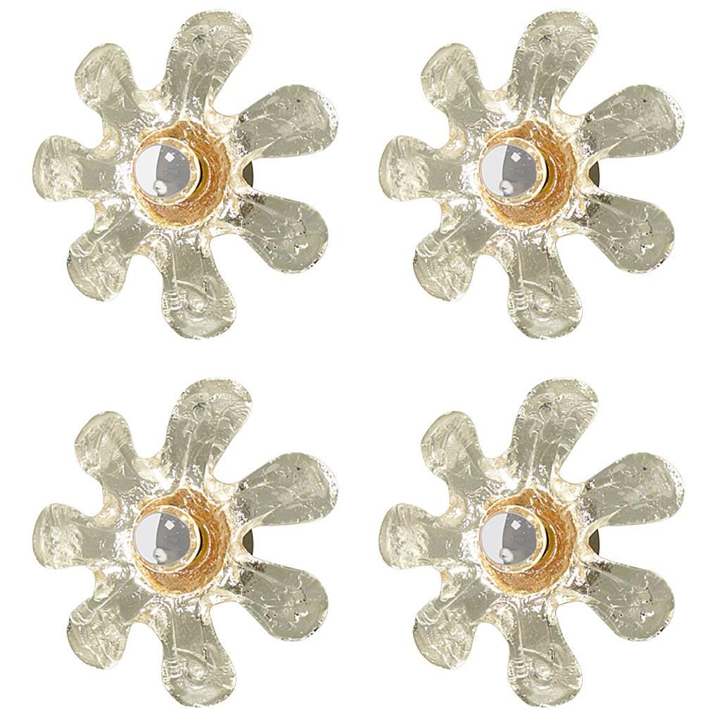 1960s Set of Four Murano Glass Flowers and Brass Sconces