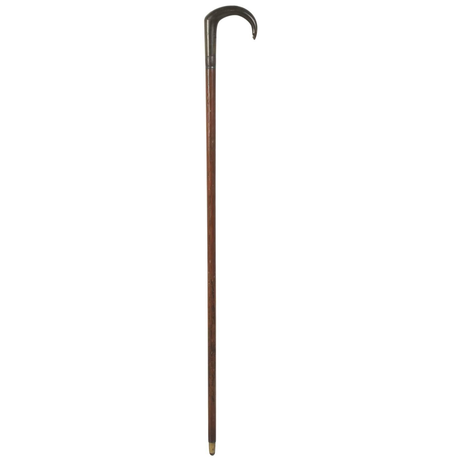 Antique French Horn Handle Walking Stick, or Cane That Was Once a Gun