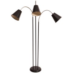 Three-Arm Gooseneck Floor Lamp by David Wurster for Raymor