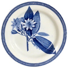 English Pearlware Plate with Botanical Specimen in Underglaze Blue, circa 1820