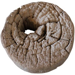 Carved Petrified Wood Wall Art or Centrepiece