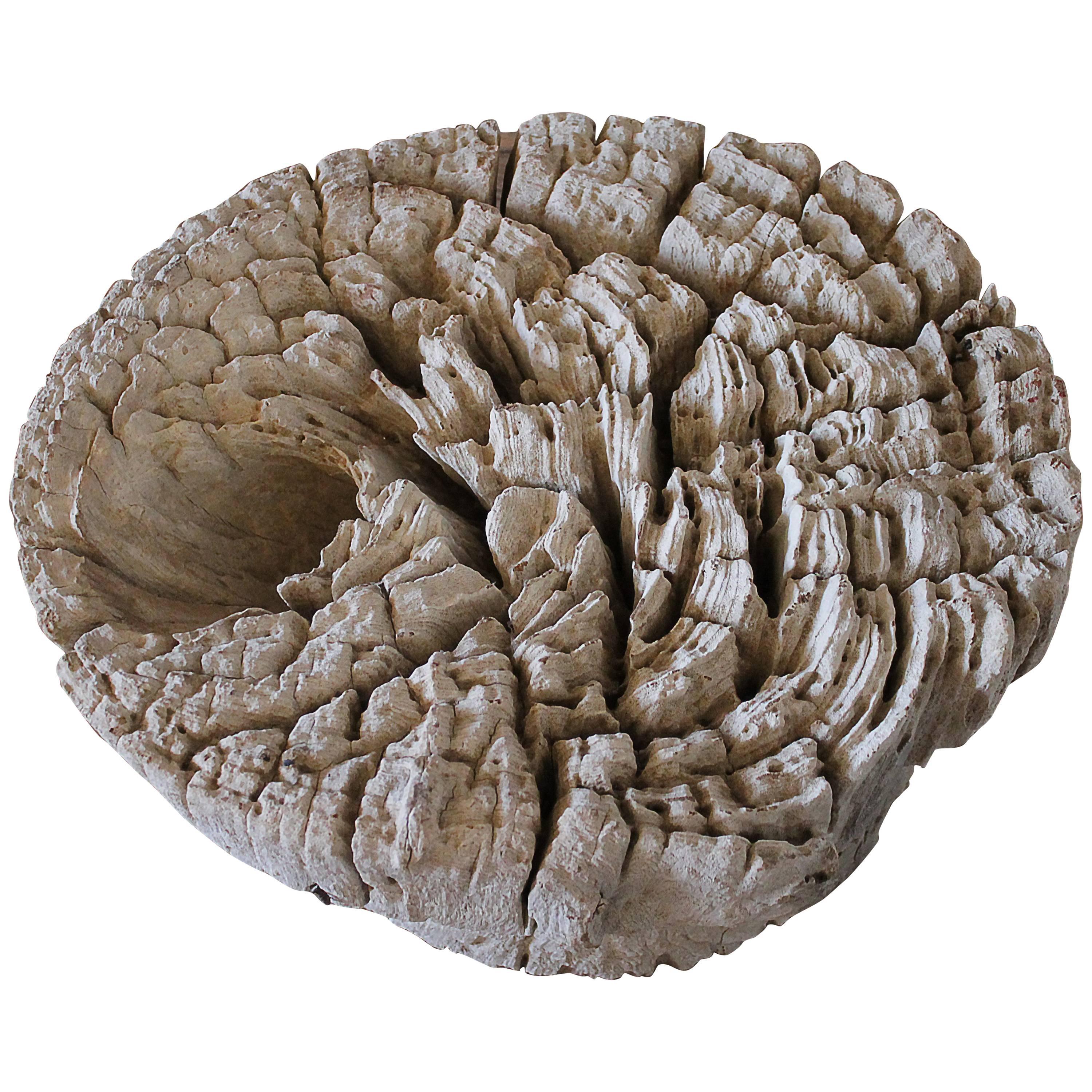 Carved Petrified Wall Art or Centrepiece