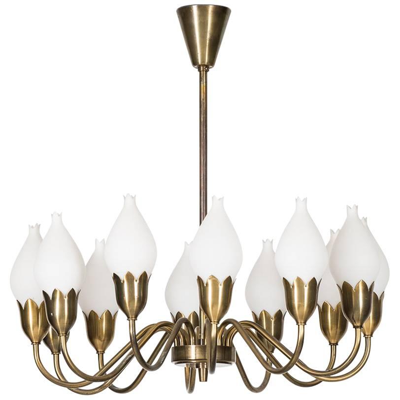 Unique Danish Falcon Ceiling Light by Fog and Mørup, Denmark For Sale