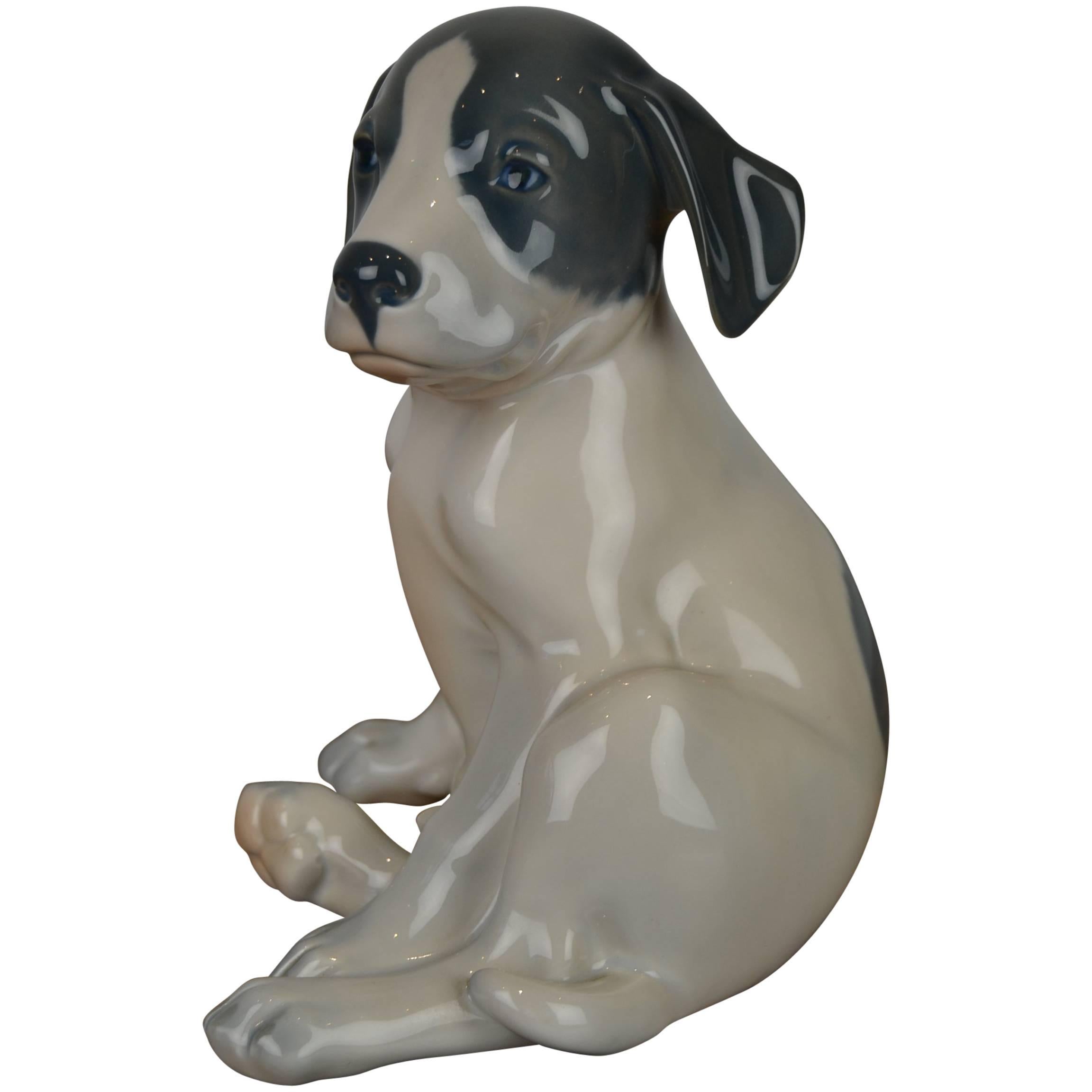 Royal Copenhagen Porcelain Pointer Puppy Dog by Erik Nielsen , Denmark , 1960s