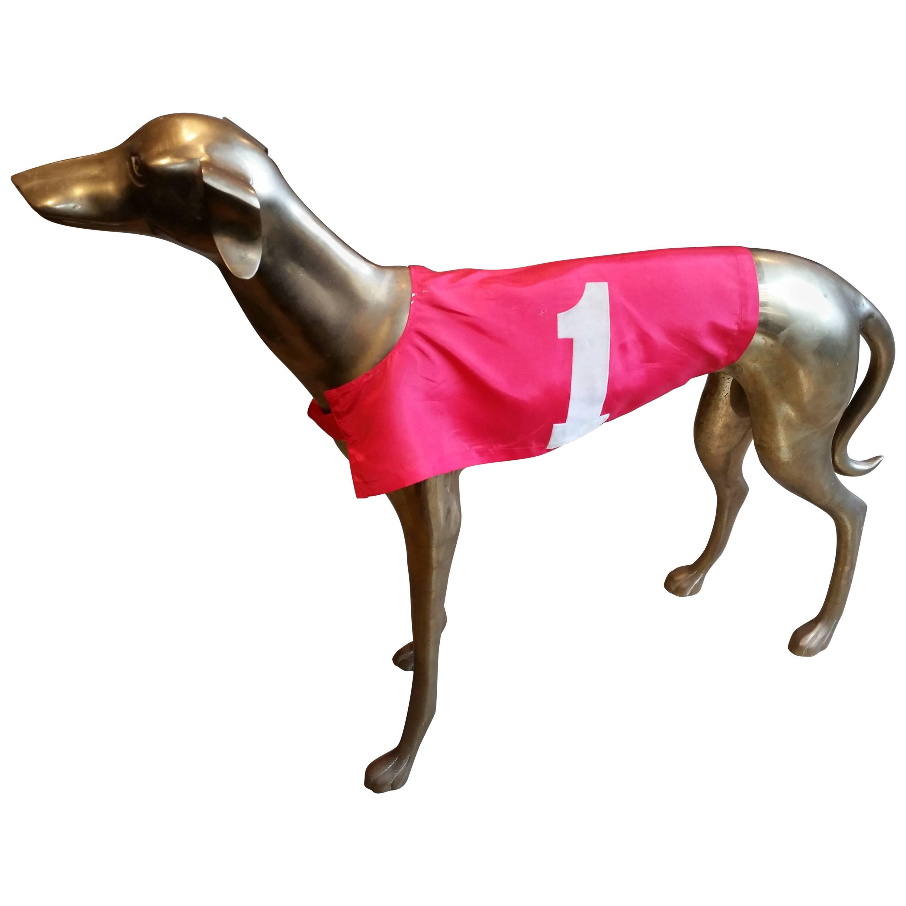 Commanding, Large-Scale Midcentury Brass Greyhound with Racing Jacket, Italy