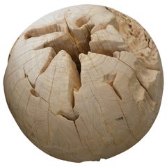 Andrianna Shamaris Bleached Teak Wood Organic Sphere