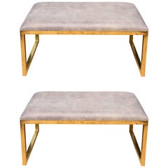 Pair of Benches from "Smania" Overlay with Buffalo Leather