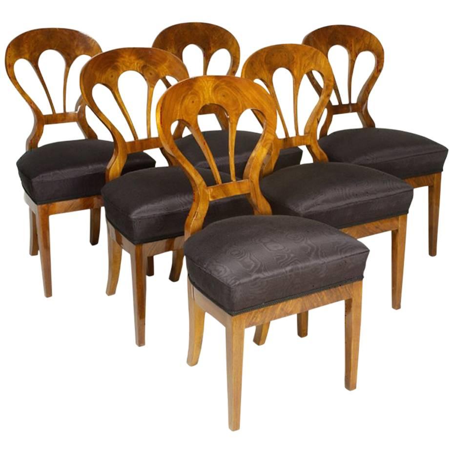 Set of Six Biedermeier Side Chairs by Iliad Design For Sale