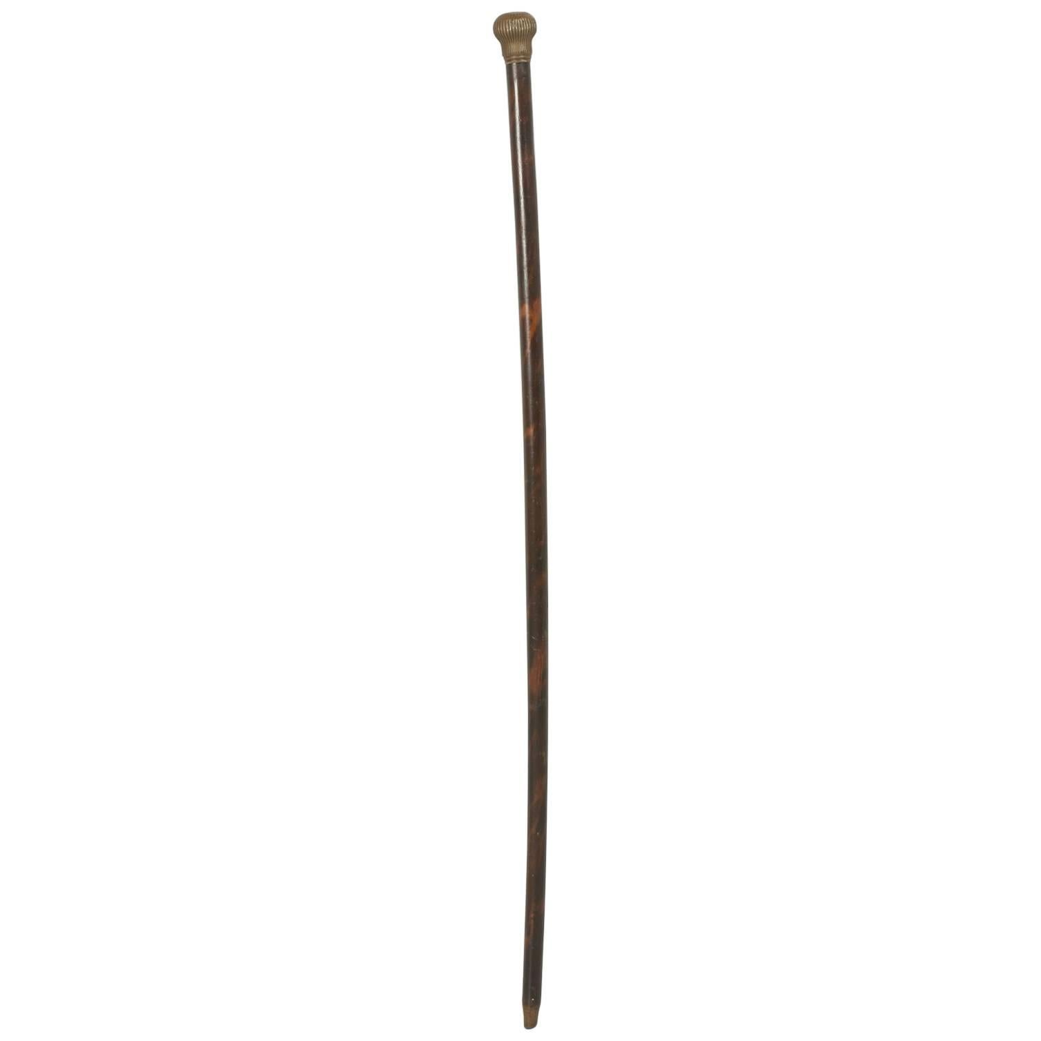 Antique French Walking Stick or Cane