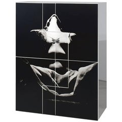 Dancer Collection Art Design Rectangular Lacquered Wood Steel Sideboard